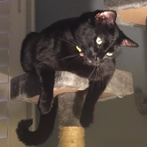 Meet your Posher, Lara - Picture 10 of 15